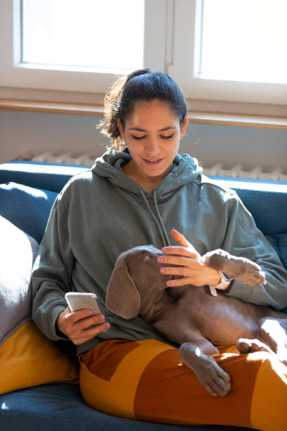 istock Using her phone and playing with her puppy on the sofa 1223974161