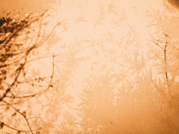 istock winter through frozen glass abstract background. wintry frosty pattern on glass. abstract background of ice frozen window. 1223974755