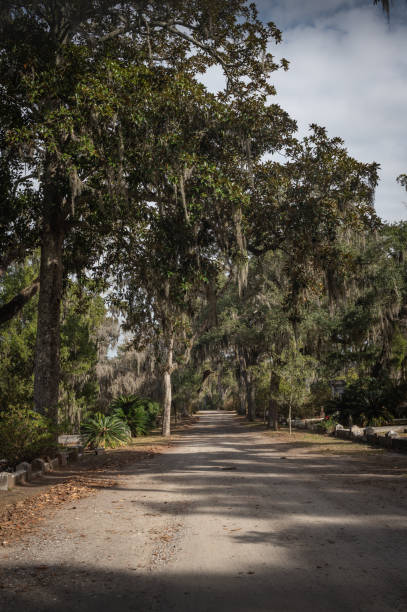 istock Grave in the Bonaventure Cemetery 1223976086