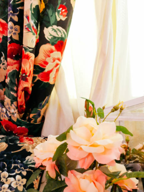 istock home plants in pots in the interior 1223977249