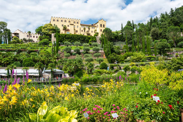 View of botanical gardens and Trauttmansdorff Castle in Merano, Italy. Merano, South Tirol, Italy - July 4, 2016. View of botanical gardens and Trauttmansdorff Castle in Merano, Italy. View with people in summer. taxonomy stock pictures, royalty-free photos & images