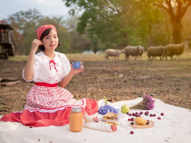 A young woman on a picnic with a sandwich, drink and fruit in the sheep farm. Farmgirl lunch in the meadow with a flock of sheep.