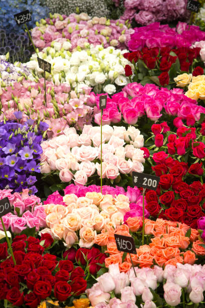 istock Japanese flower market 1223981488
