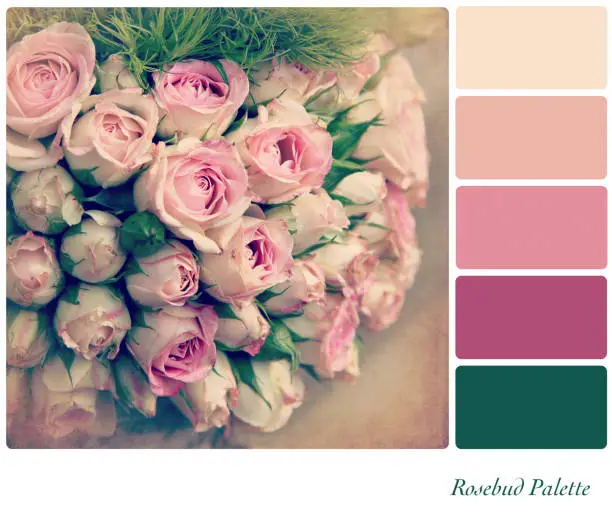 A background pale pink rosebuds in a colour palette,  with complimentary colour swatches. Textured retro style effect.