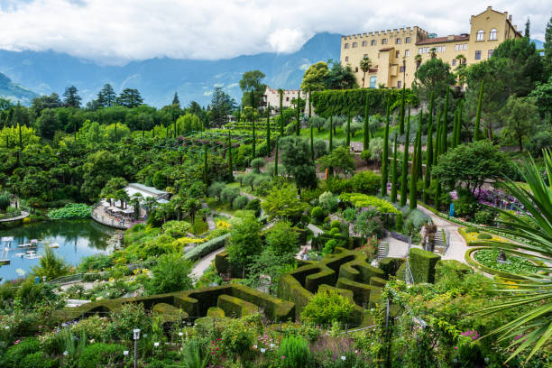 View of terraced botanical gardens and Trauttmansdorff Castle in Merano, Italy. Merano, South Tirol, Italy - July 4, 2016. View of terraced botanical gardens and Trauttmansdorff Castle in Merano, Italy. View with people in summer. taxonomy stock pictures, royalty-free photos & images