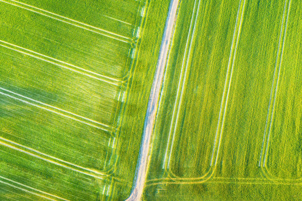 istock green fields aerial photography 1223983068