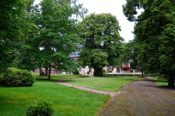 istock The wood in Stadtallendorf, Germany 1223983364