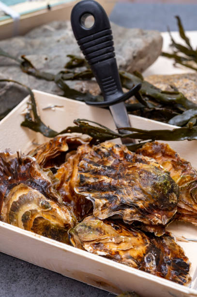 свежие zeeuwse creuse pacific или японские устрицы моллюски на рыбном рынке в нидерландах - crassostrea стоковые фото и изображения