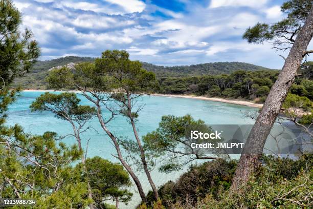 The Island Of Porquerolles In The Var In Provence On The Côte Dazur Stock Photo - Download Image Now