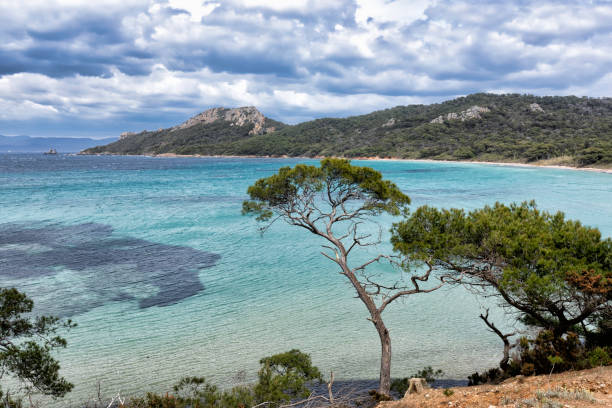 The island of Porquerolles in the Var, in Provence, on the Côte d'Azur stock photo