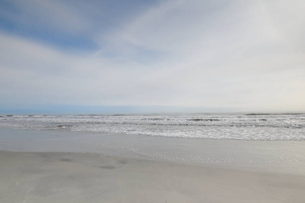 istock Beautiful Floridian beach in winter 1223991767