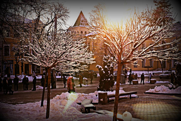 Beautiful sunny day in the city in winter Beautiful sunny day in the city in winter. Ice froze on the branches of trees. People walk down the street. The sun breaks through the frozen branches of trees. vinnytsia photos stock pictures, royalty-free photos & images