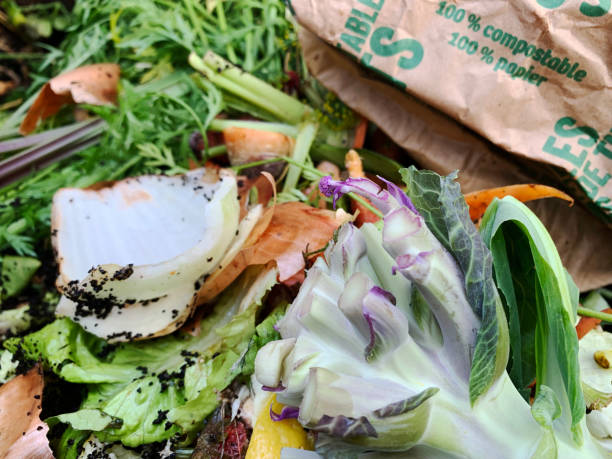 istock Vegetable, fruit and coffee ground food waste composts in a backyard backyard 1223992985