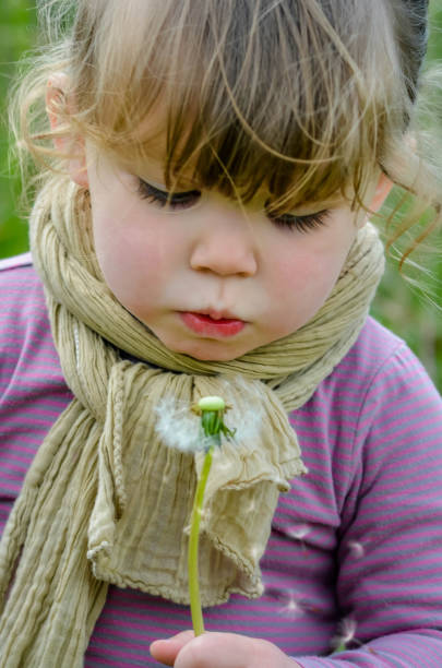 istock little girl blowing on a dandelion while making a wish 1223994634
