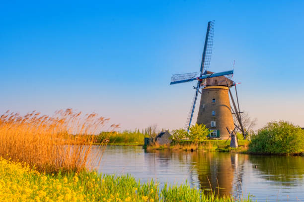 istock windmills in holland 1223995812