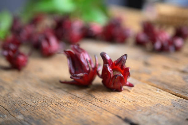 istock Hibiscus sabdariffa or roselle fruits 1223996671