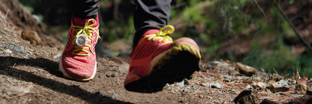 istock Trail running workout outdoors on rocky terrain 1223998113