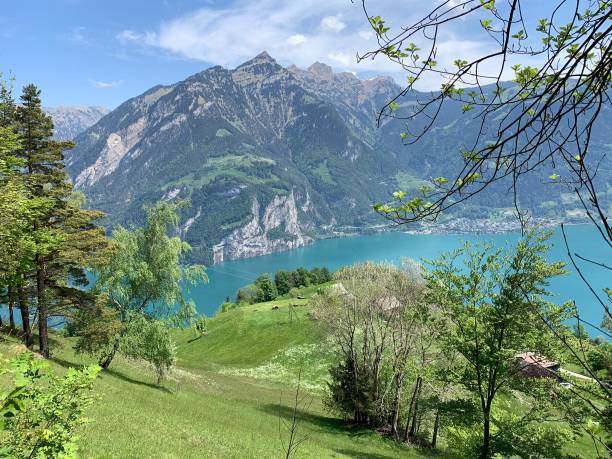 istock Hiking path at Isenthal, Canton Uri, Switzerland 1223998205