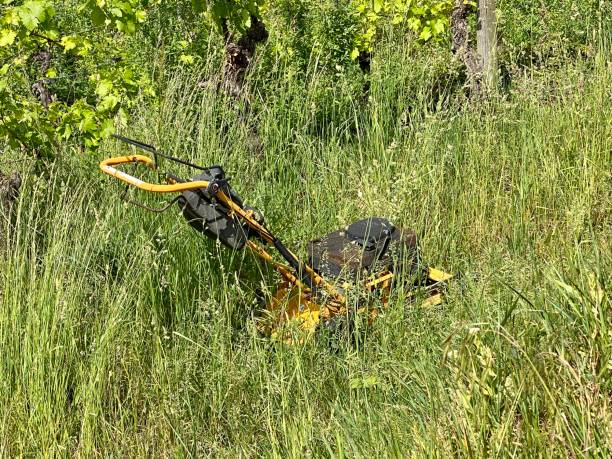 istock Old lawn mower standing in high grass 1223998453