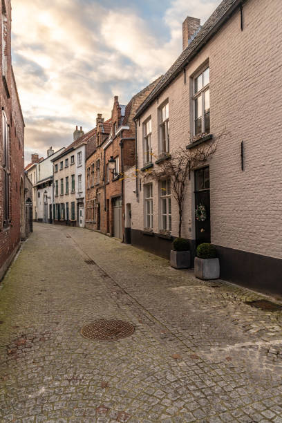 istock Buildings around roads in Bruges at sunset 1223998702