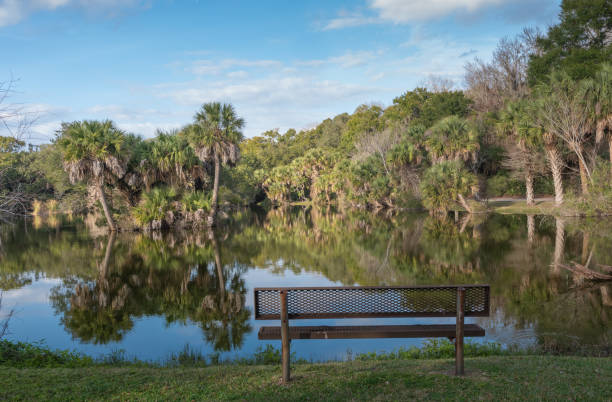 istock Beautiful lake in a park 1223999303