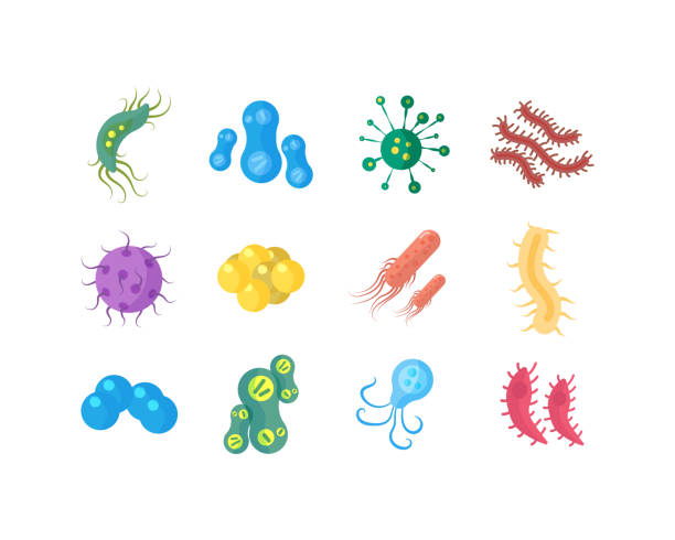 ilustraciones, imágenes clip art, dibujos animados e iconos de stock de bacterias, virus, coronavirus. - 4758