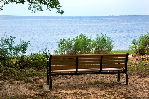 Empty bench on the shoreline of the St. Marks River in Tallahassee, Florida