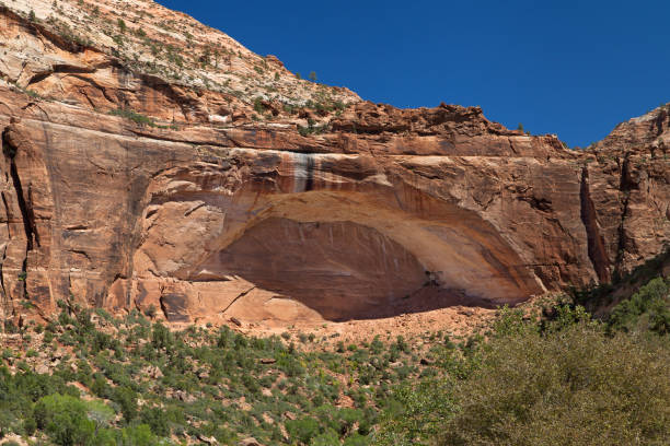 istock The Great Arch in Zion 1224003226