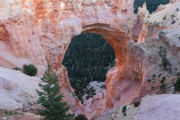 Natural Bridge Arch in Bryce Canyon, Utah, United States.