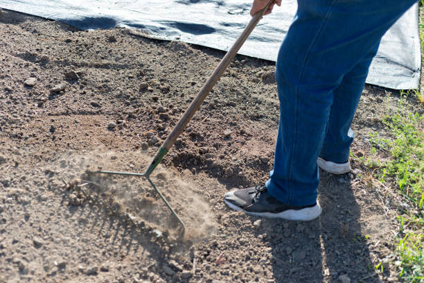 istock Preparing a ground with mesh to prevent weeds from growing and installing drip irrigation 1224003861