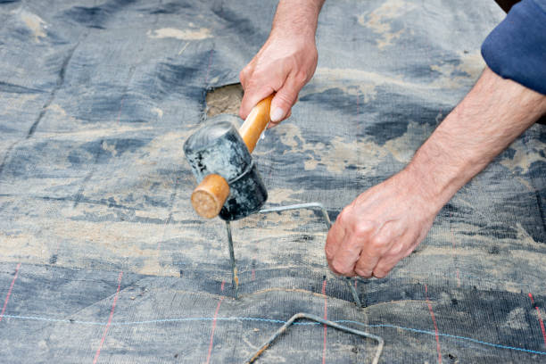 istock Preparing a ground with mesh to prevent weeds from growing and installing drip irrigation 1224003880