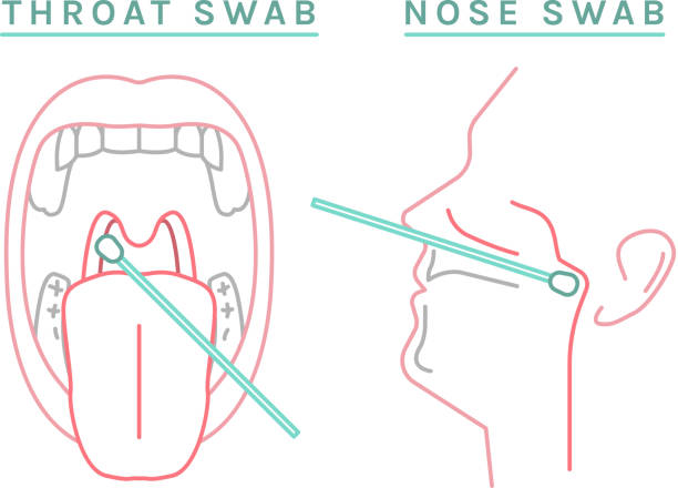 Coronavirus test infographic icon-03 Throat, nose swab icon. Biological material analysis. Positive or negative test result. Viros testing. Pictogram, symbol, sign. Vector illustration on white background. Medical, healthcare concept medical swab stock illustrations