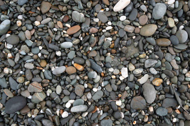 istock Close-up Overhead View of Random Wet Beach Pebbles 1224005493