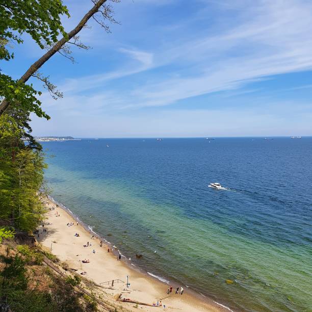 istock At the Polish Baltic Sea 1224006772
