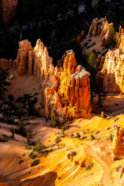 bryce canyon hoodoos - 3504 - fotografias e filmes do acervo