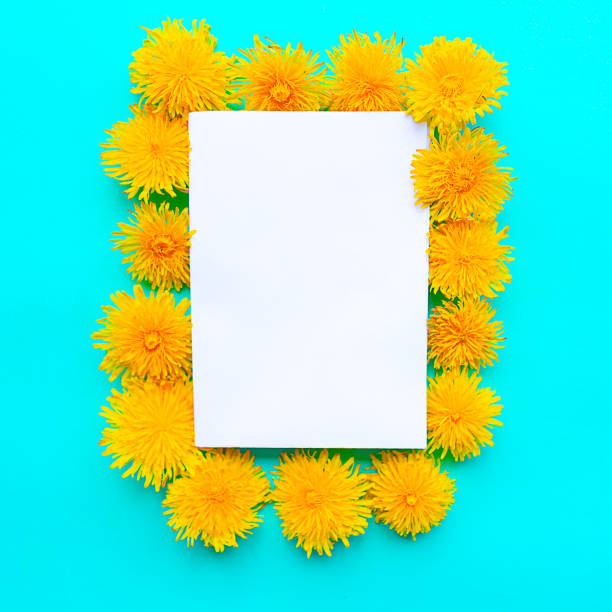 istock White mockup blank and yellow blooming dandelions on bright green background. Springtime concept. Copy space for the text 1224009469