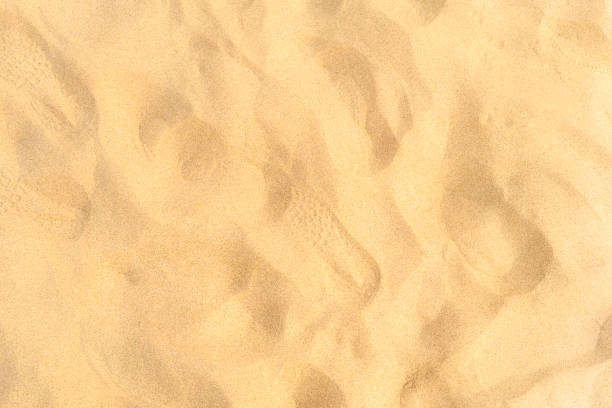 istock Set of dust powder splash clouds isolated on white background. sand explosion. 1224009590