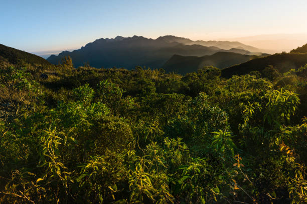 Serra Fina, Itatiaia National Park (Rio de Janeiro / Minas Gerais / São Paulo)
