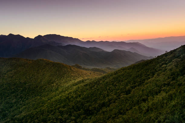 ブラジル南東部の森林、ムアンティークラ山脈、渓谷 - rainforest day sunlight plant ストックフォトと画像