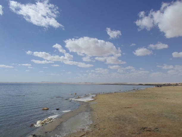 istock WADI EL RAYAN LAKE AND WATERFALLS 1224012681