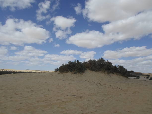 istock WADI EL RAYAN LAKE AND WATERFALLS 1224014716