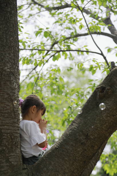istock Japanese girl playing with bubble on the tree (5 years old) 1224016332