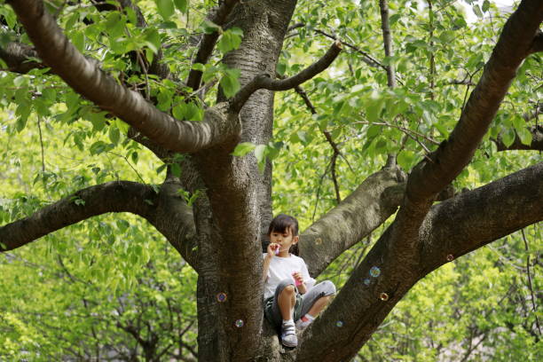 istock Japanese girl playing with bubble on the tree (5 years old) 1224016991