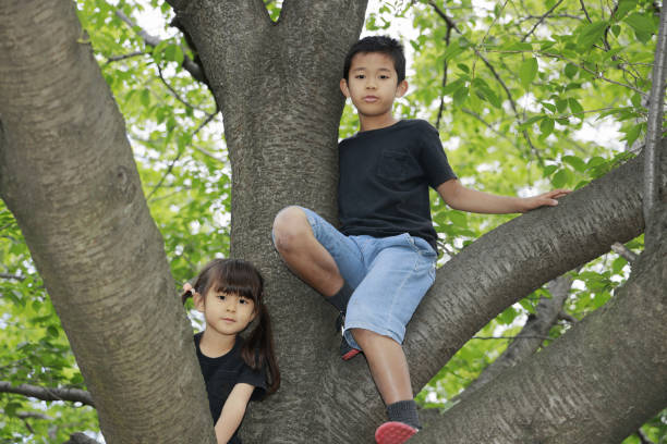istock Japanese brother and sister climbing the tree (10 years old boy and 5 years old girl) 1224017492