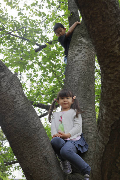 istock Japanese brother and sister climbing the tree (10 years old boy and 5 years old girl) 1224018208