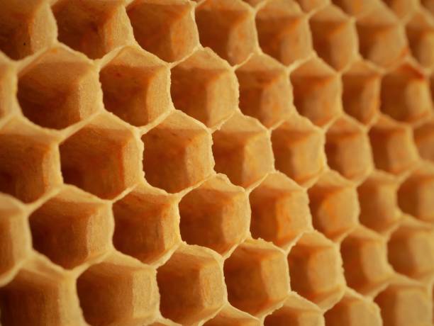 istock Close up of bee hive honey bee hexagonal cells 1224019478