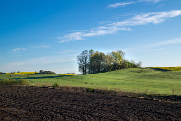 istock Agricultural landscape with ploughed field 1224019674