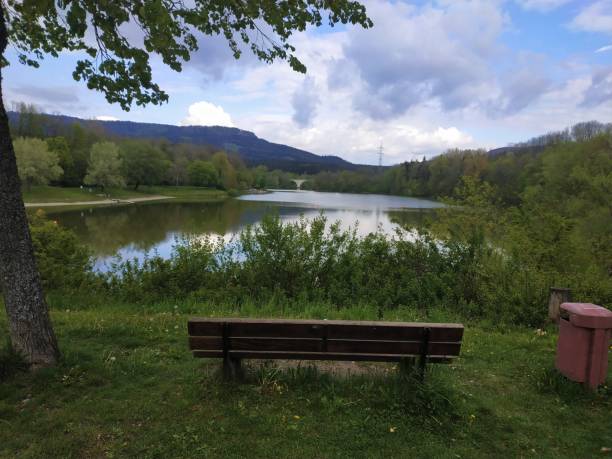 istock Bench in front of a lake spotted in Germany 1224019885