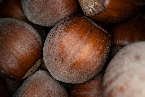 Organic hazel nuts closeup. Healthy lifestyle. Autumn harvesting season.