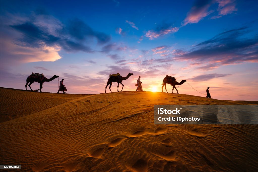 Indian cameleers camel driver with camel silhouettes in dunes on sunset. Jaisalmer, Rajasthan, India Indian cameleers (camel driver) bedouin with camel silhouettes in sand dunes of Thar desert on sunset. Caravan in Rajasthan travel tourism background safari adventure. Jaisalmer, Rajasthan, India Camel Stock Photo